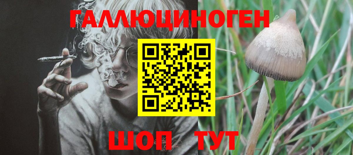 Сафоново  Галлюциногенные грибы MAGIC MUSHROOMS  Галлюциногенные грибы ЛСД  Вход с VPN 